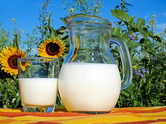 Milch vom Vinzenzhof